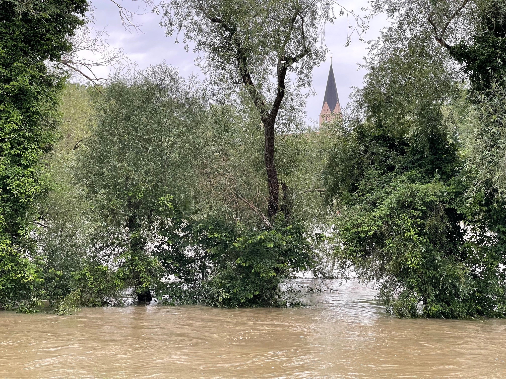 Donau-Hochwasser 2024. Foto: VDR